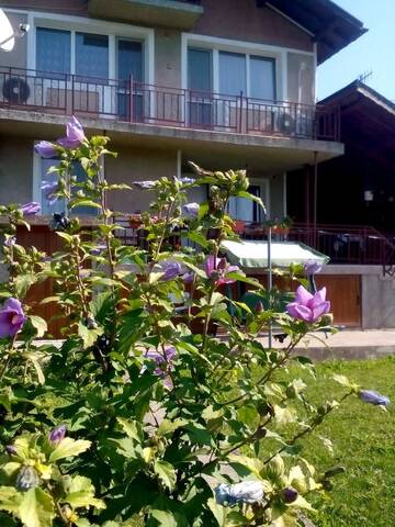 Фото номера Вилла с 3 спальнями и отдельным бассейном Дома для отпуска Villa Reveri г. Tsŭrkva 22